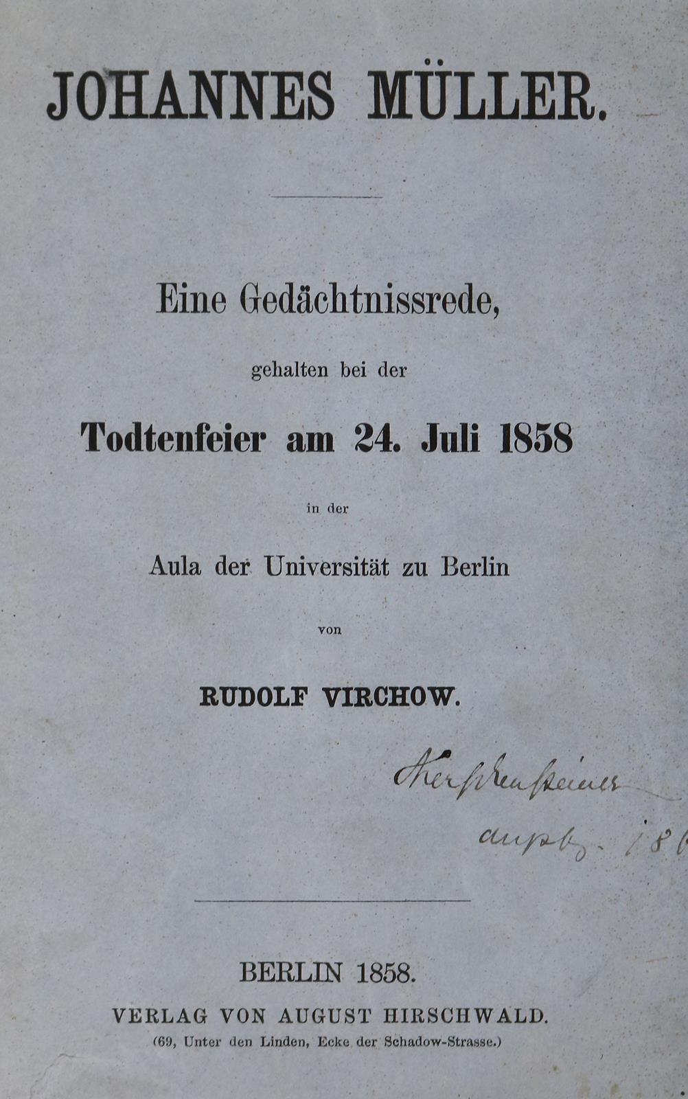 Virchow,R. | Bild Nr.1