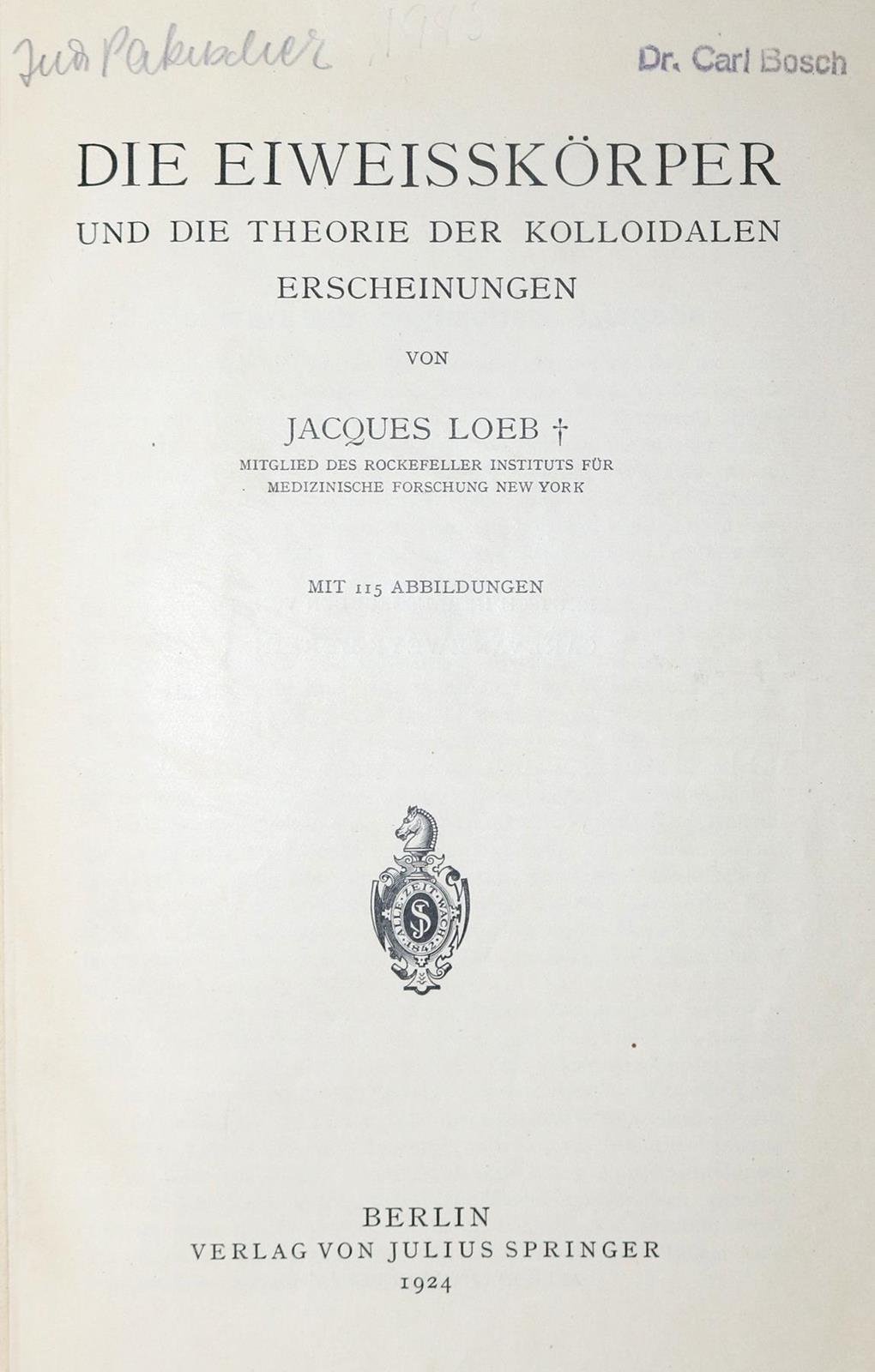 Loeb,J. | Bild Nr.1