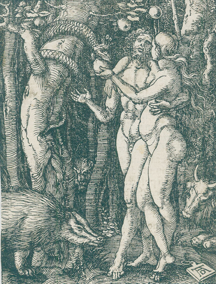 Dürer, Albrecht | Bild Nr.1