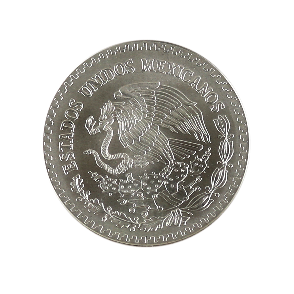 Mexico 11 x 1 oz Libertad | Bild Nr.1