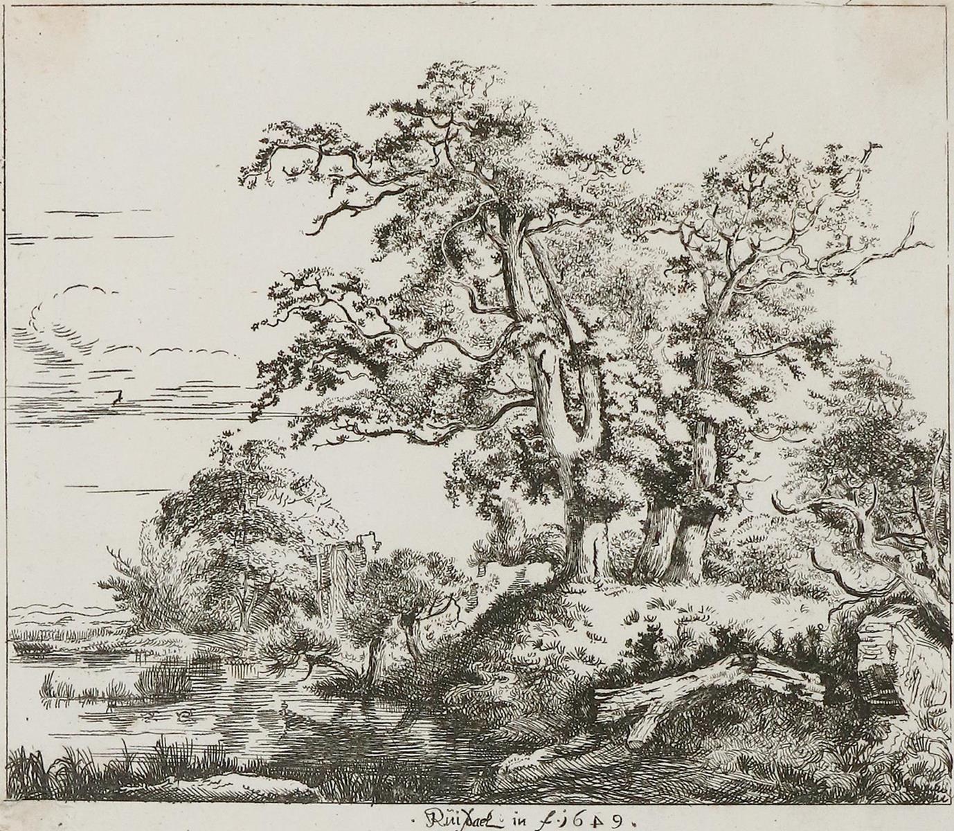 Ruisdael, Jacob Isaackszoon | Bild Nr.1