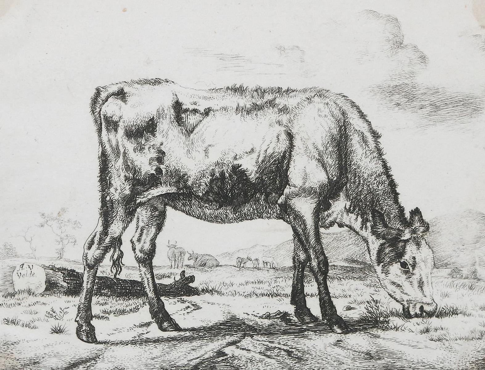 Velde, Adriaen van de | Bild Nr.1