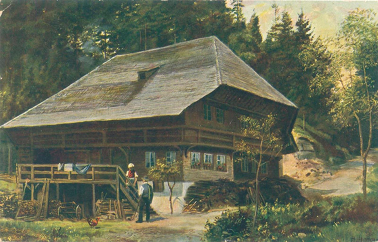Schwarzwald. | Bild Nr.1