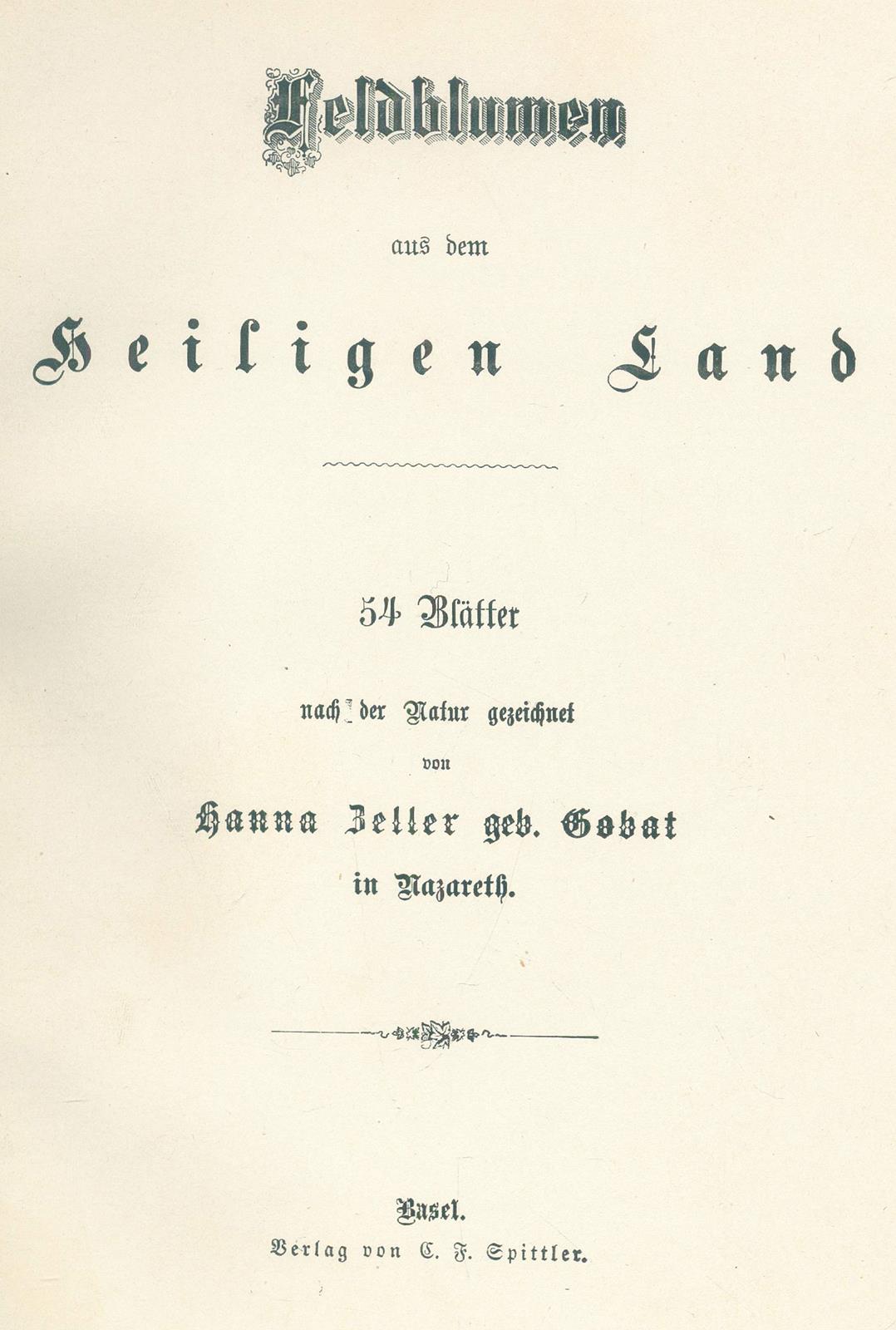 Zeller,H. (geb. Gobat). | Bild Nr.3