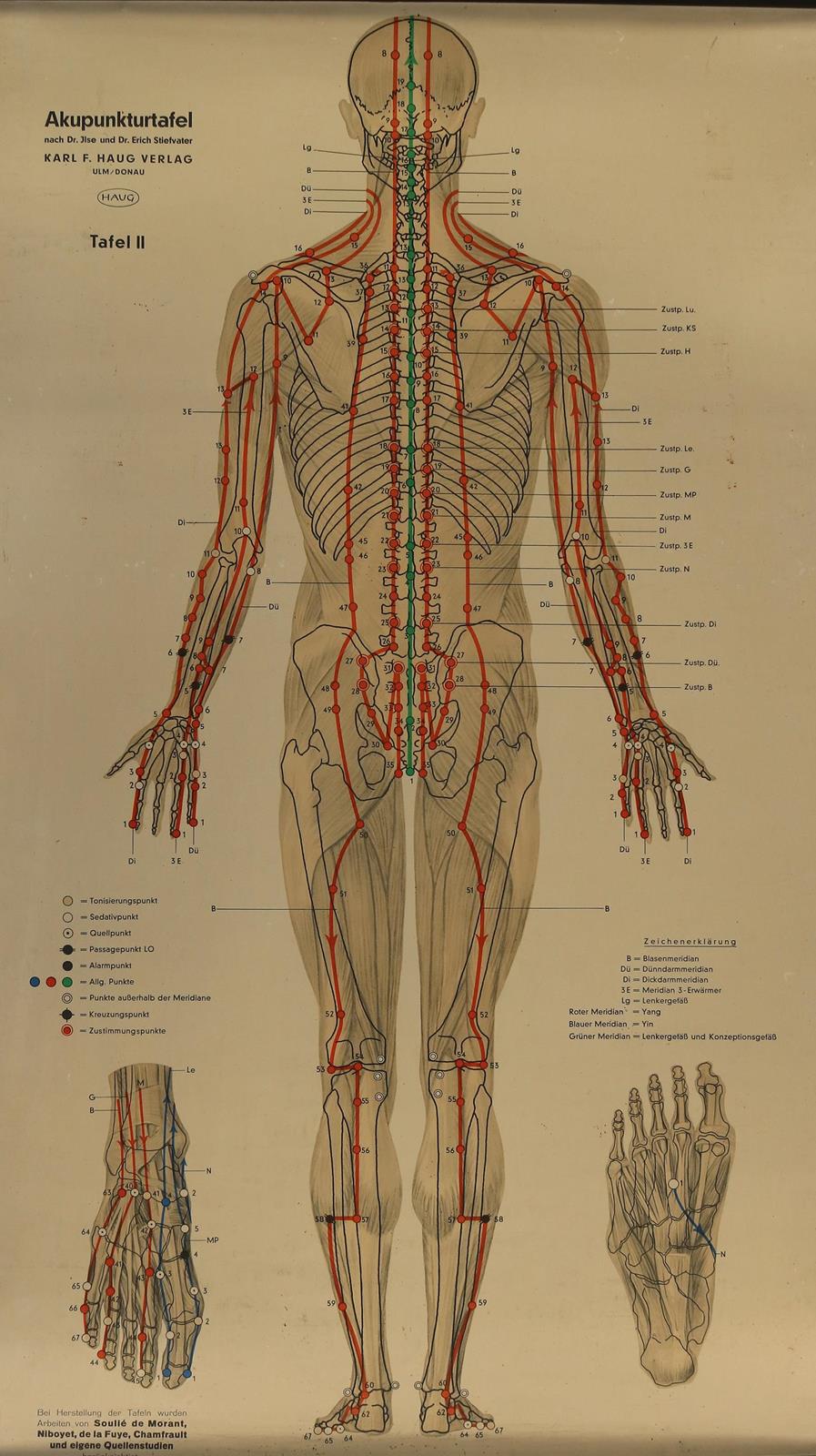Akupunkturtafel | Bild Nr.2