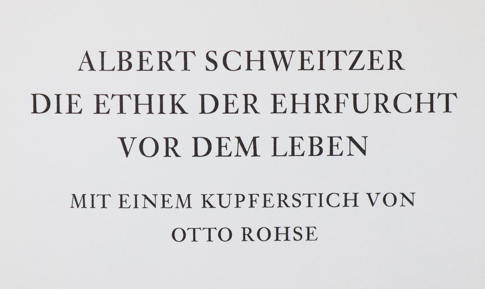 Rückgänge | Bild Nr.11