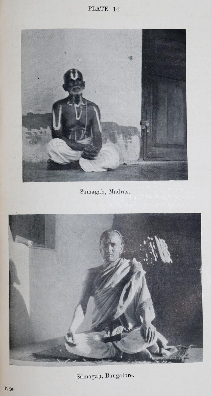 Rückgänge | Bild Nr.14