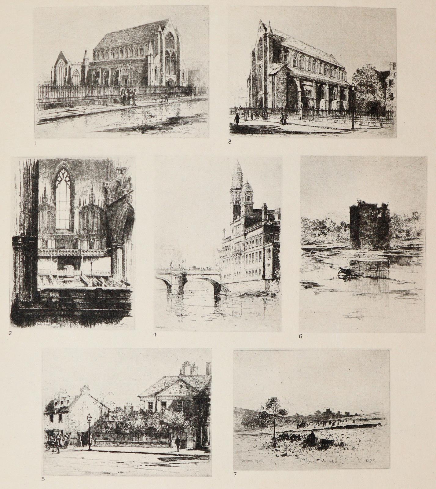 Rinder,F. | Bild Nr.1