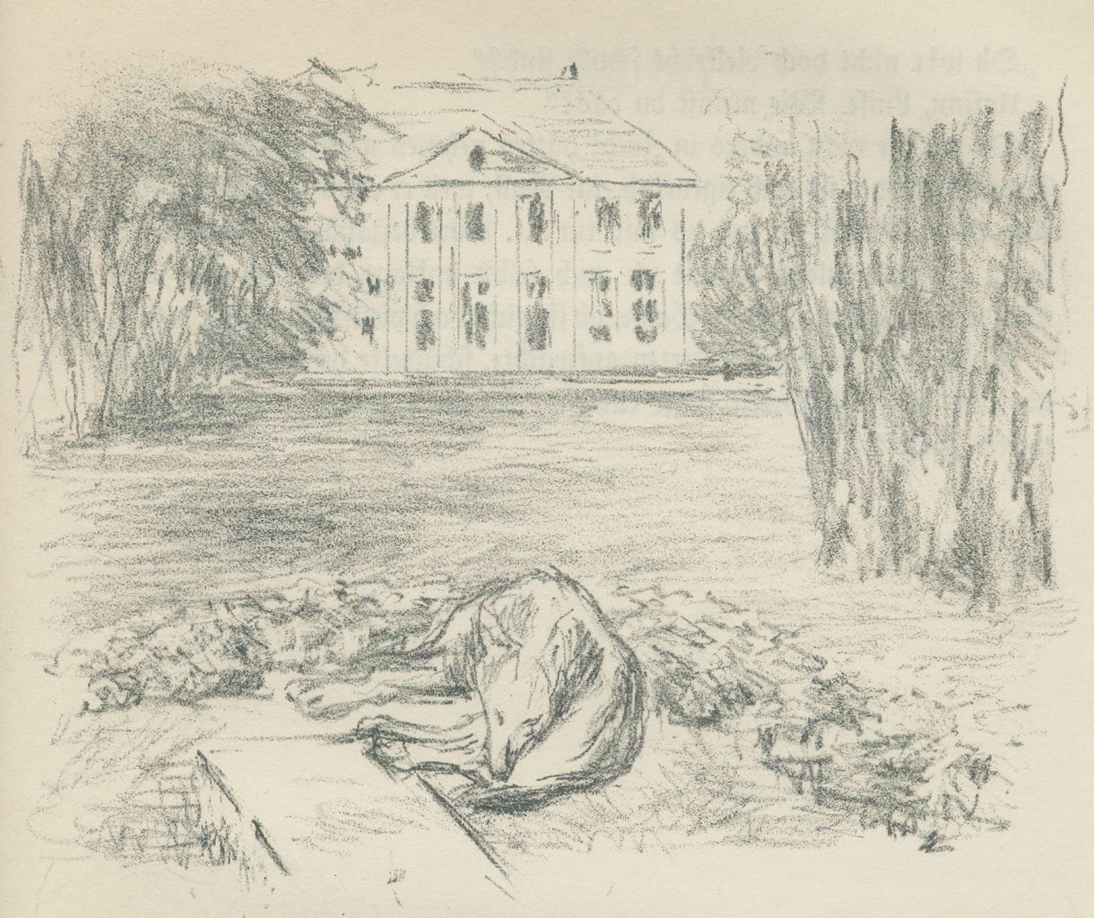 Fontane,T. | Bild Nr.3