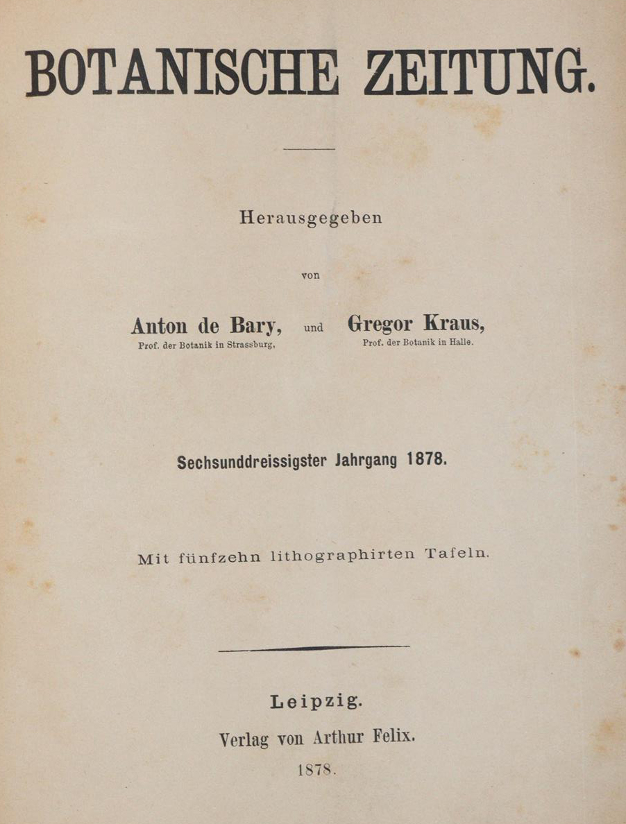 Botanische Zeitung. | Bild Nr.1