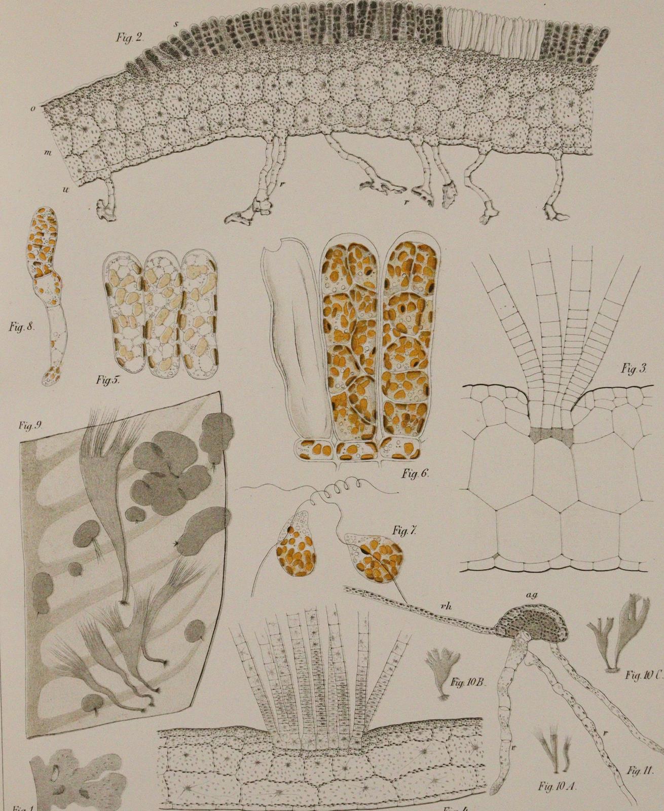 Wissenschaftliche Meeresuntersuchungen. | Bild Nr.2
