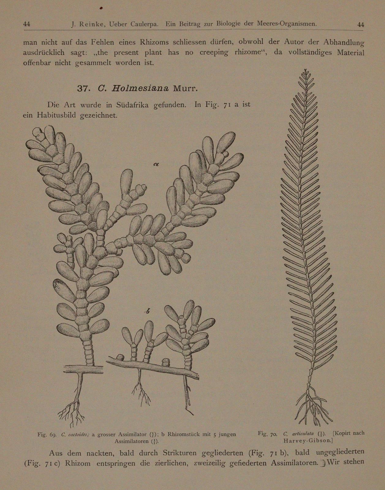 Wissenschaftliche Meeresuntersuchungen. | Bild Nr.5