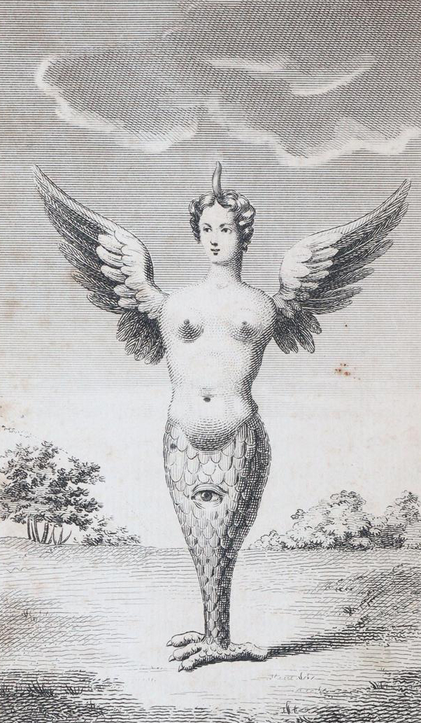 Sharp,S. | Bild Nr.3