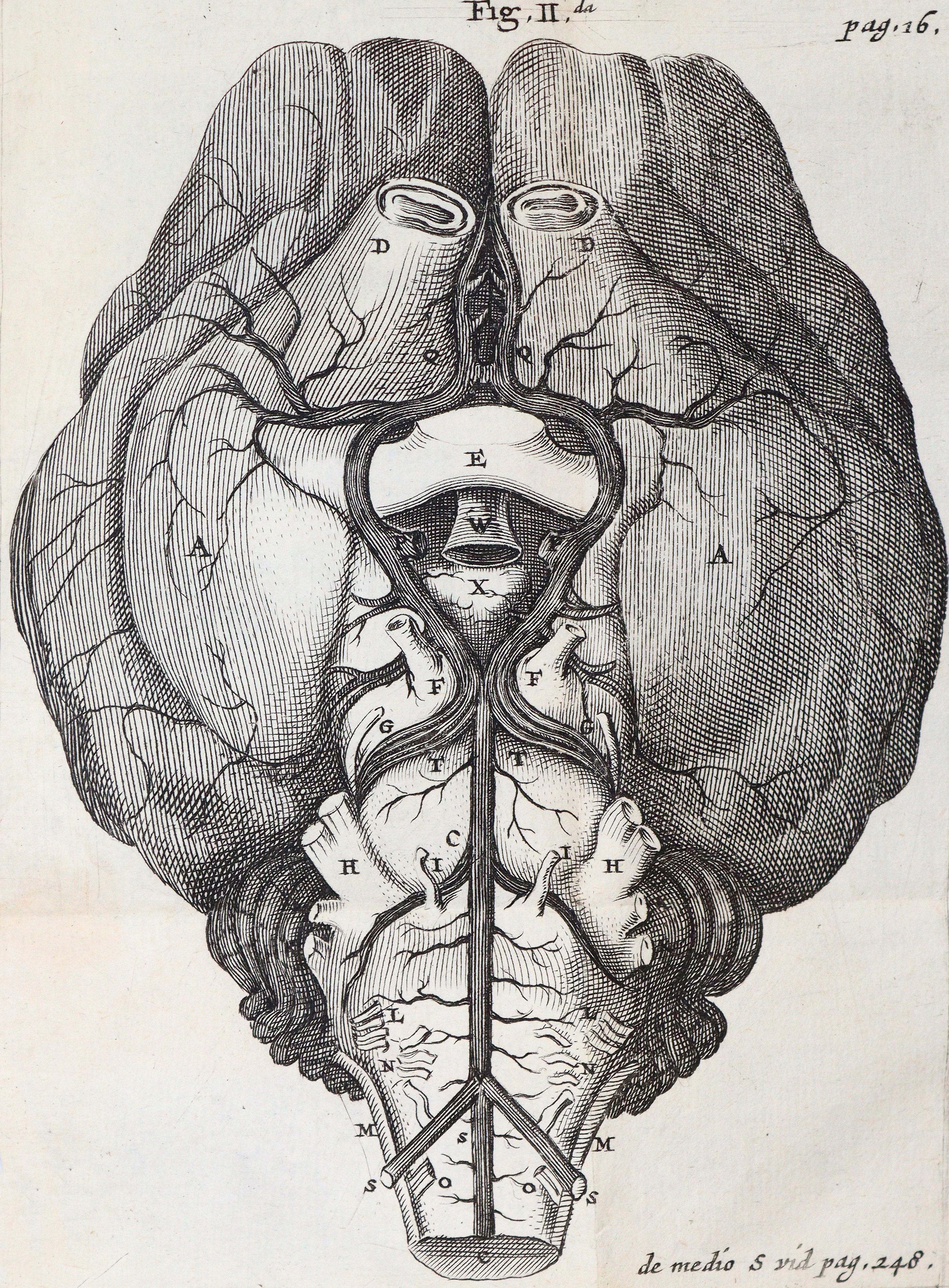 Willis,T. | Bild Nr.2