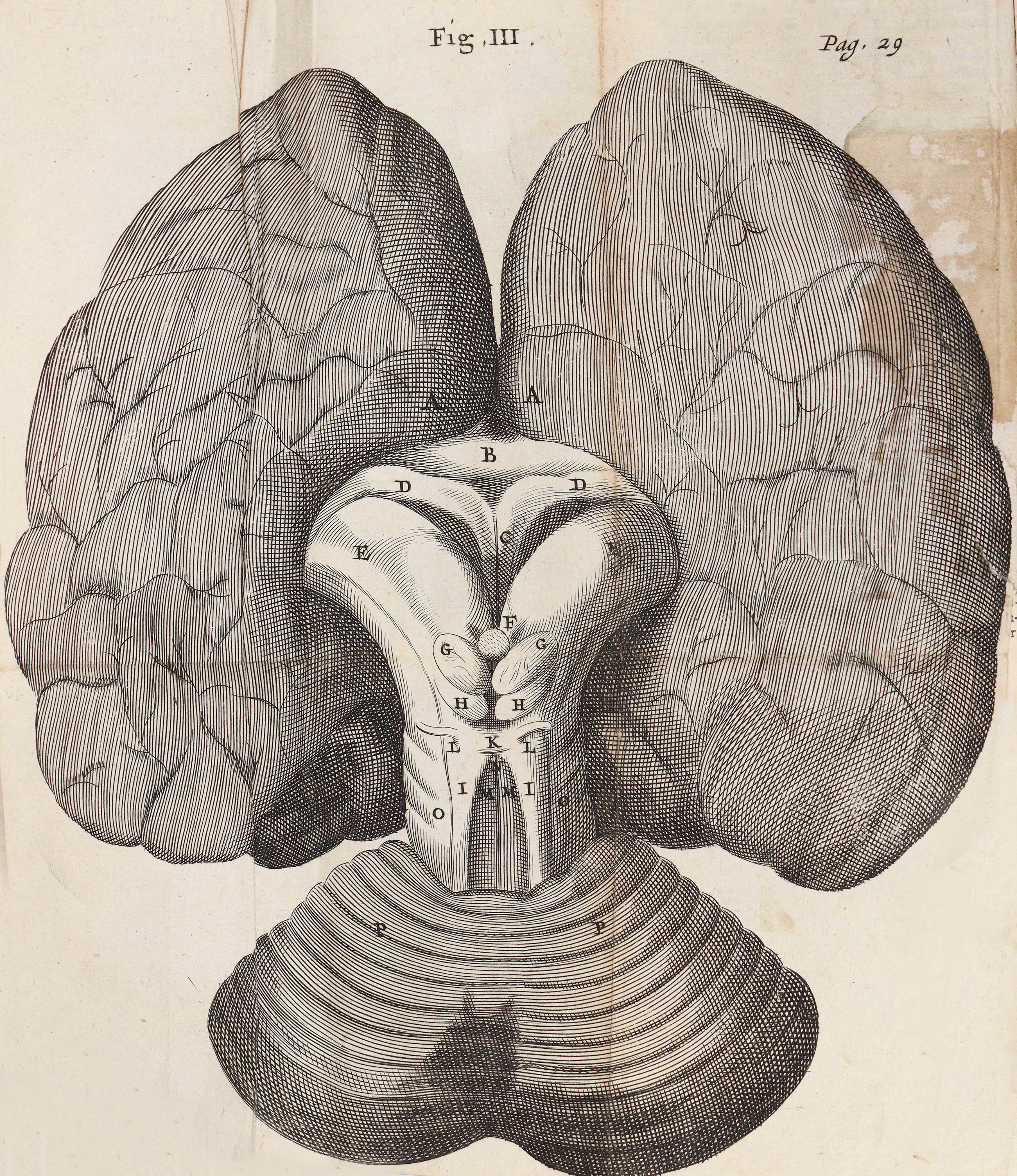 Willis,T. | Bild Nr.3