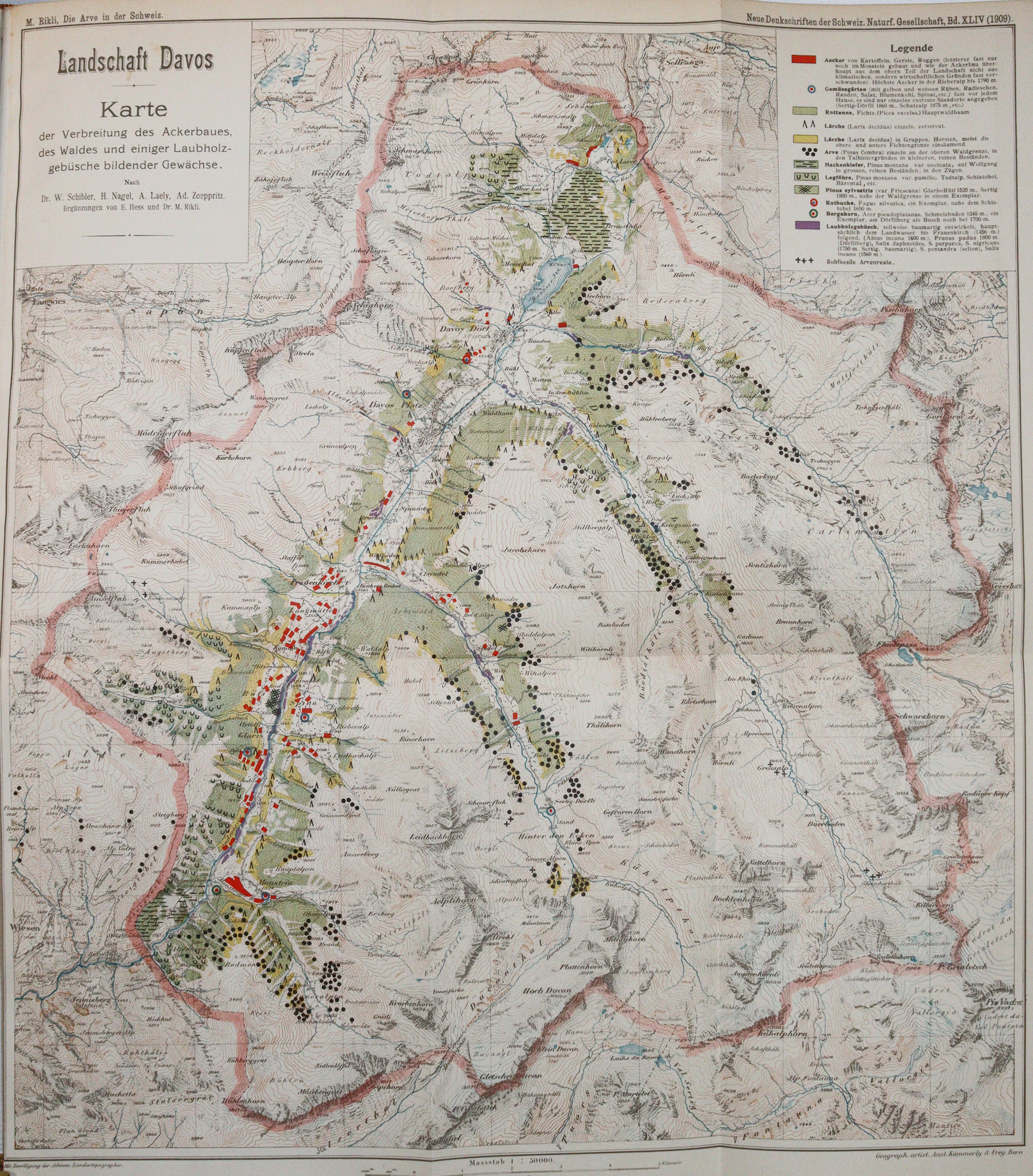 Hensen,V. | Bild Nr.2