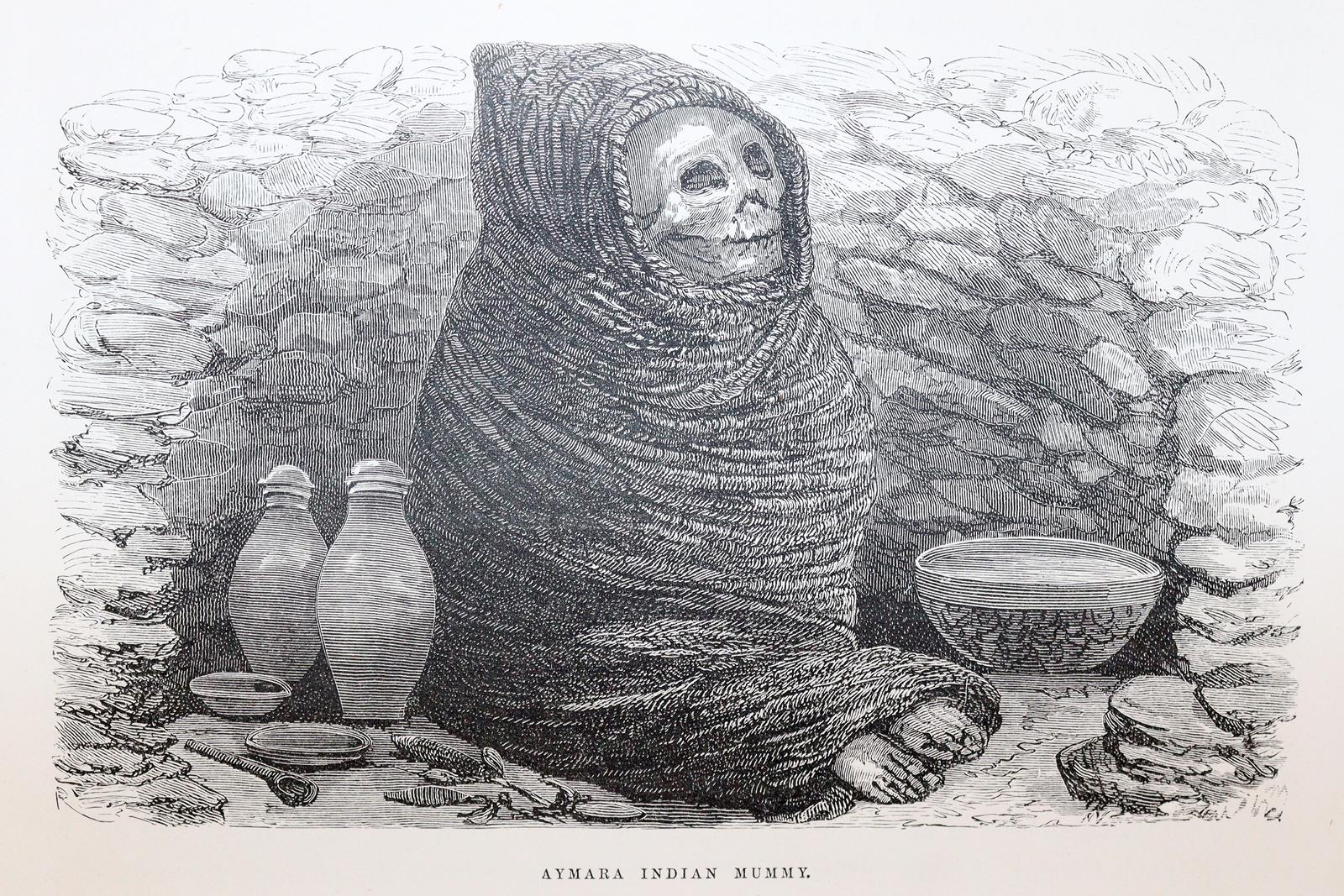 Marcoy,P. (d.i. L.de Saint-Cricq). | Bild Nr.3