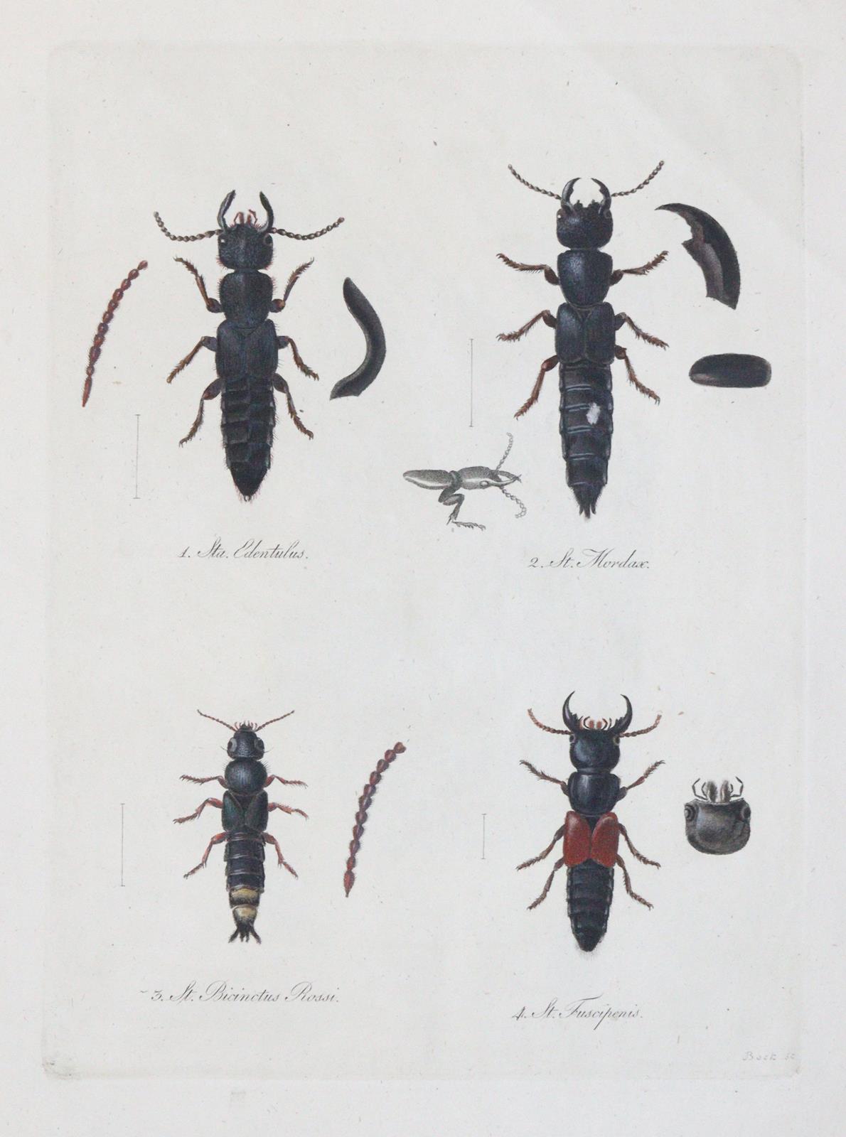 Becker,W.G. | Bild Nr.4