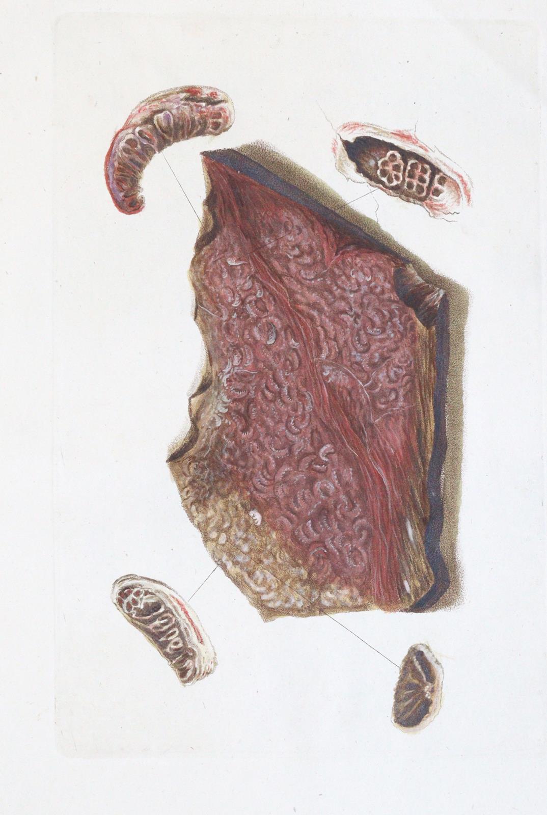 Becker,W.G. | Bild Nr.5