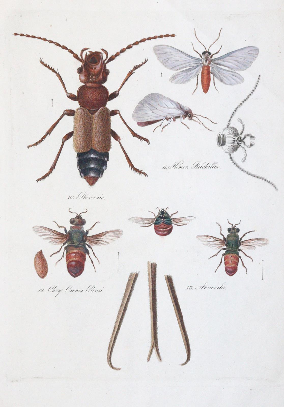 Becker,W.G. | Bild Nr.6