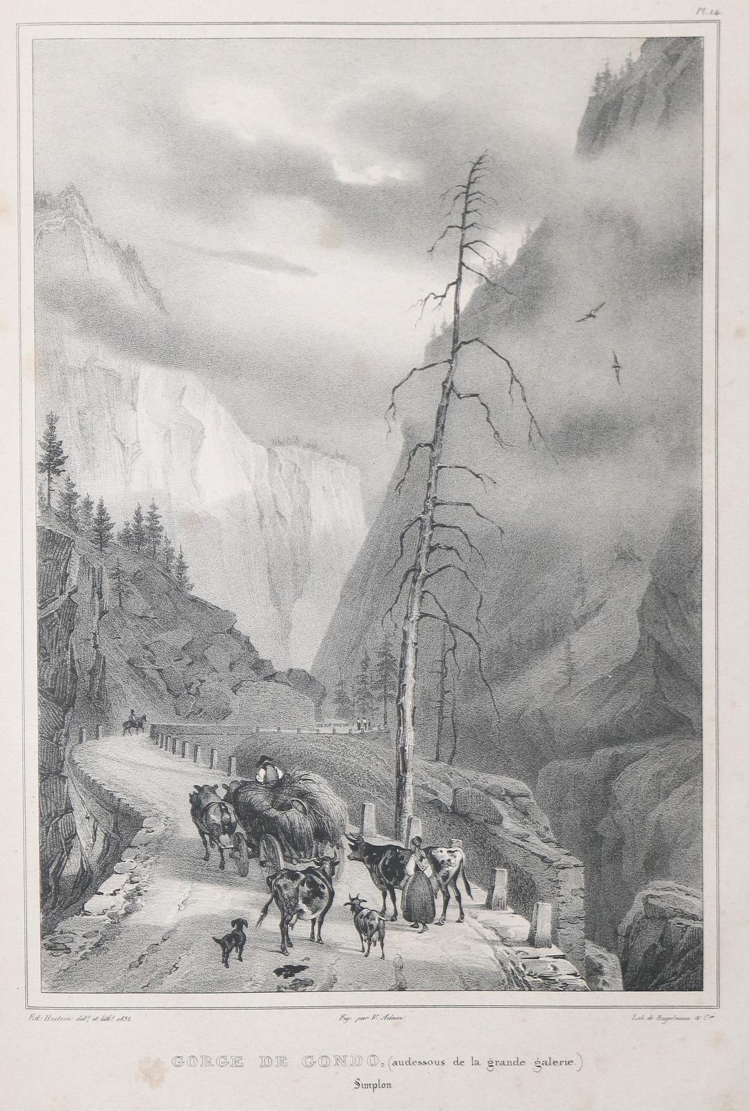 Ceard,R. | Bild Nr.1