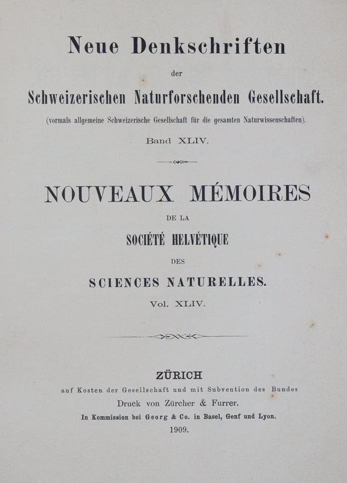 Rikli,M. | Bild Nr.1