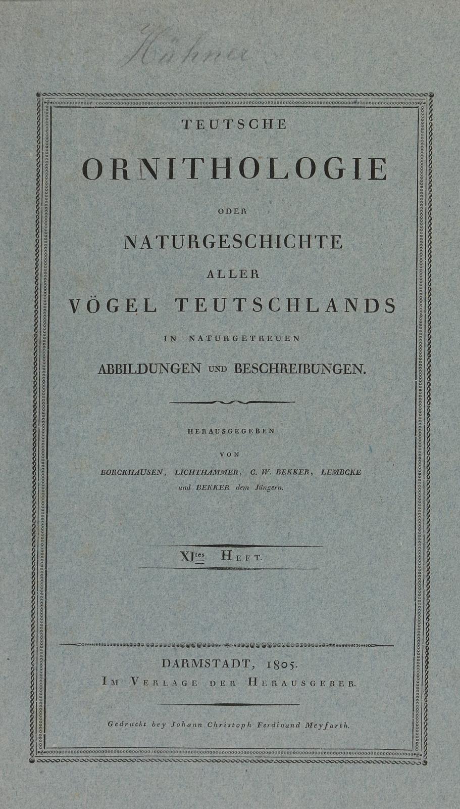 Vögel. | Bild Nr.2