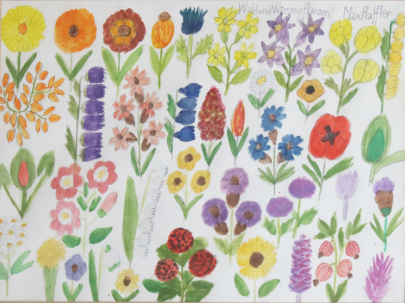 Raffler, Max | Bild Nr.1