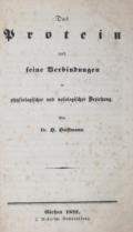 Hoffmann,H.