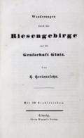 Malerische und romantische Deutschland, Das.